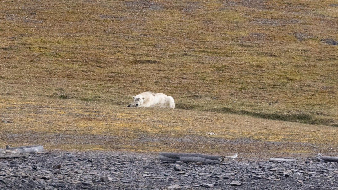 HDS08-24, Day 7, 4Q9A5063 © Katlyn Taylor - Oceanwide Expeditions.jpeg