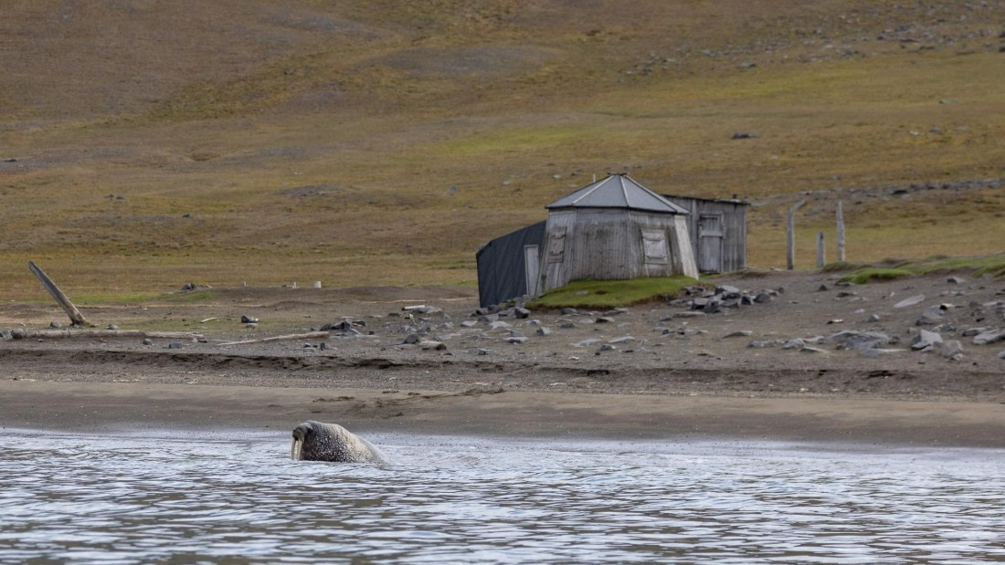 HDS08-24, Day 7, 4Q9A5106 © Katlyn Taylor - Oceanwide Expeditions.jpeg