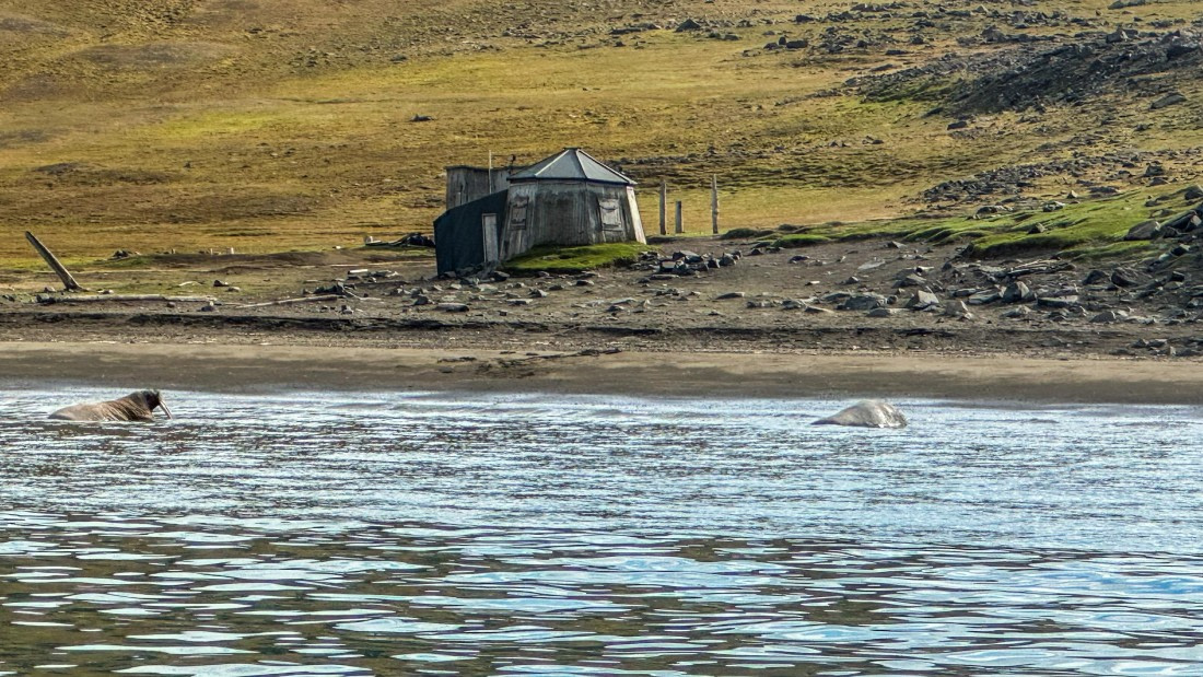 HDS08-24, Day 7, 60D9E4CE-0177-4CE2-ABBA-851A36BA44C9 © Unknown photographer - Oceanwide Expeditions.JPEG