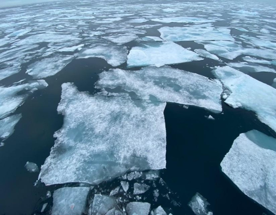 PLA08-24, Day 4, Picture8 © Unknown photographer - Oceanwide Expeditions.jpg