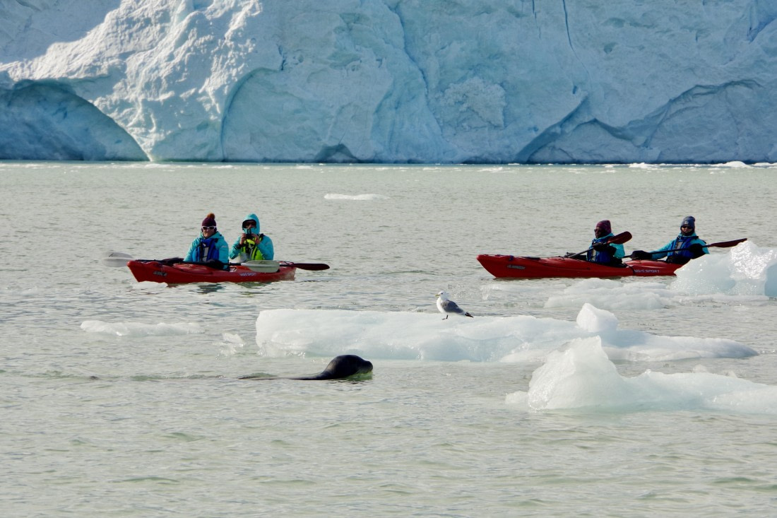 OTL08-24, Day 3, IMG_2362 © Unknown photographer - Oceanwide Expeditions.jpg
