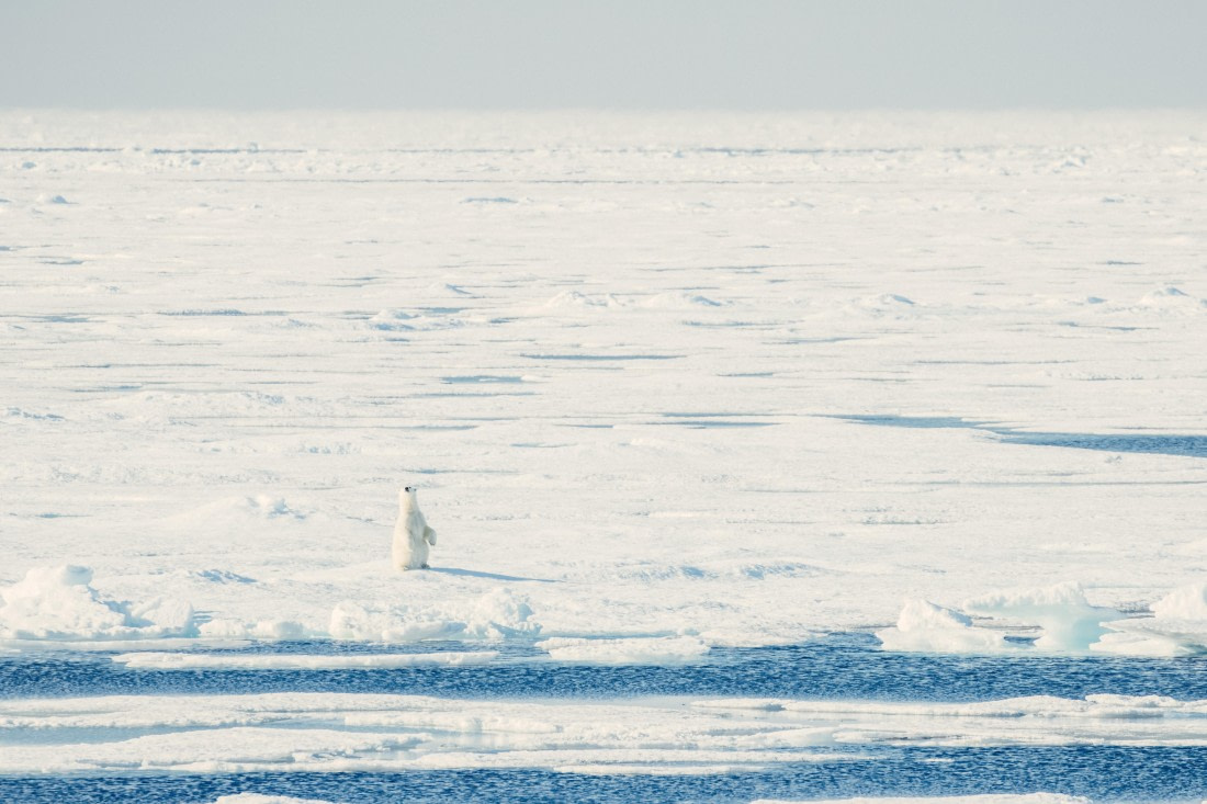 OTL08-24, Day 4,   2B5A1973 © Juan Martin Berenstein - Oceanwide Expeditions.jpg