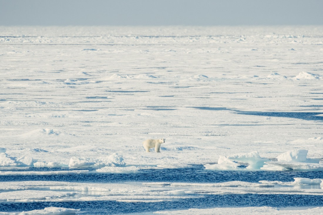 OTL08-24, Day 4,   2B5A1991 © Juan Martin Berenstein - Oceanwide Expeditions.jpg