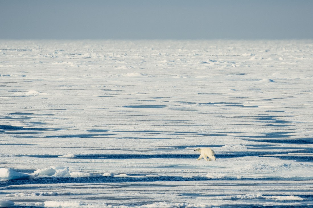 OTL08-24, Day 4,   2B5A2002 © Juan Martin Berenstein - Oceanwide Expeditions.jpg