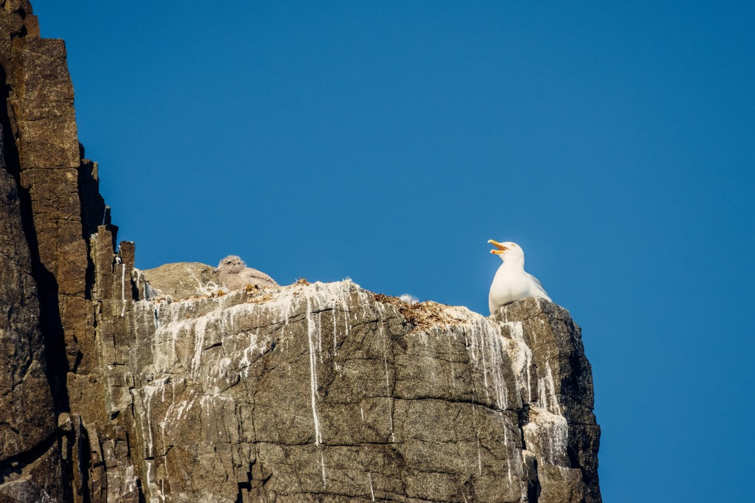 OTL08-24, Day 6,   2B5A2068 © Juan Martin Berenstein - Oceanwide Expeditions.jpg