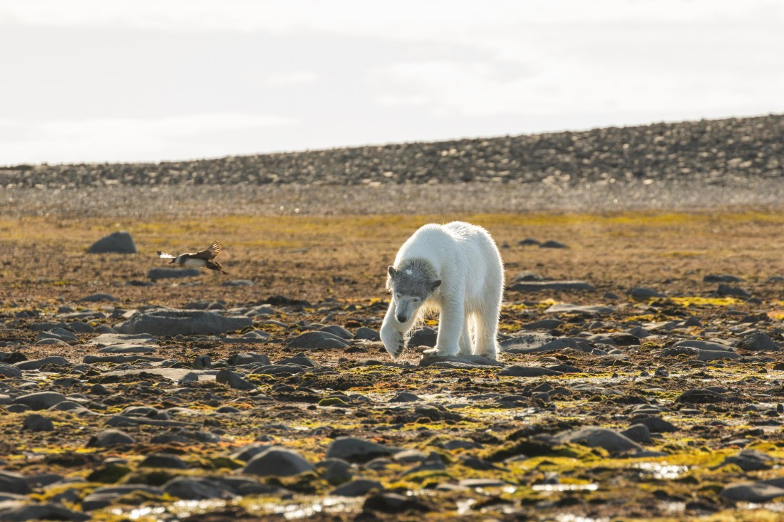 OTL08-24, Day 6,   2B5A2308 © Juan Martin Berenstein - Oceanwide Expeditions.jpg