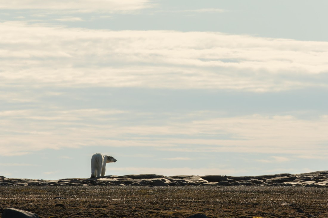 OTL08-24, Day 6,   2B5A2330 © Juan Martin Berenstein - Oceanwide Expeditions.jpg