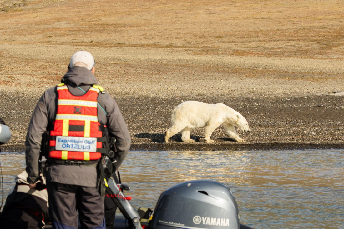 OTL08-24, Day 7,   2B5A2528 © Juan Martin Berenstein - Oceanwide Expeditions.jpg