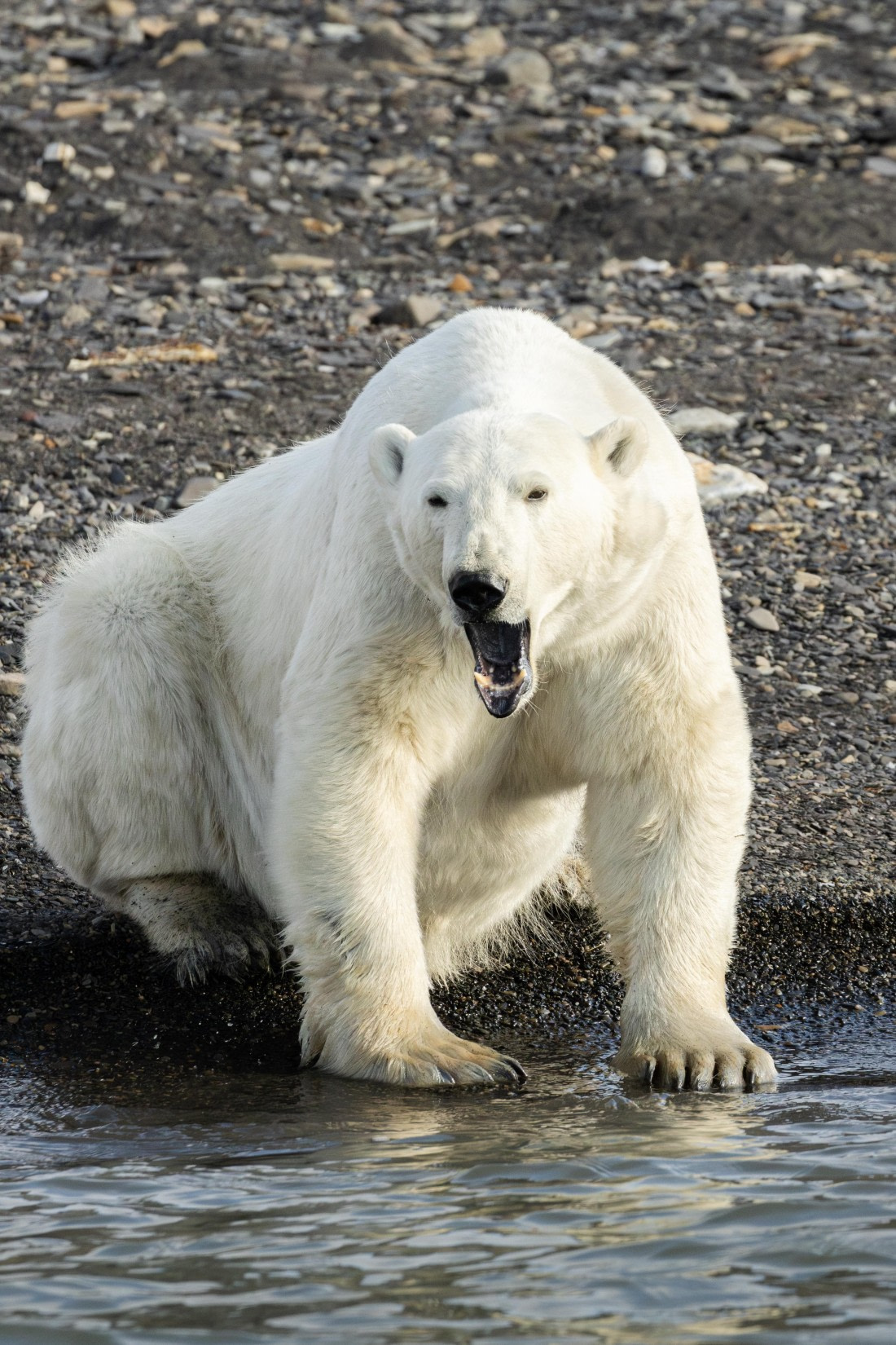 OTL08-24, Day 7,   2B5A2580 © Juan Martin Berenstein - Oceanwide Expeditions.jpg