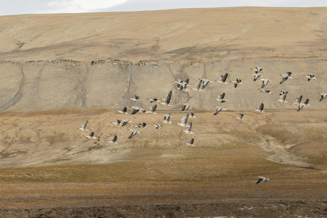 OTL08-24, Day 7,   2B5A2631 © Juan Martin Berenstein - Oceanwide Expeditions.jpg