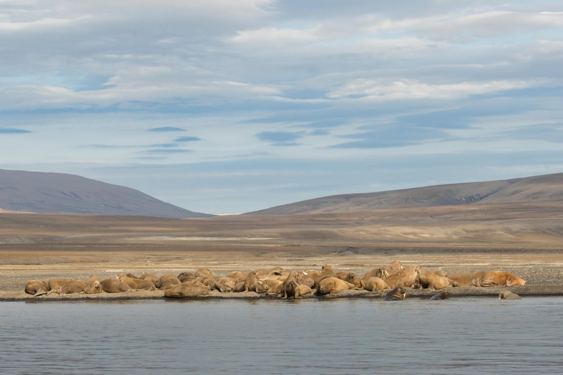 OTL08-24, Day 7,   2B5A2636 © Juan Martin Berenstein - Oceanwide Expeditions.jpg