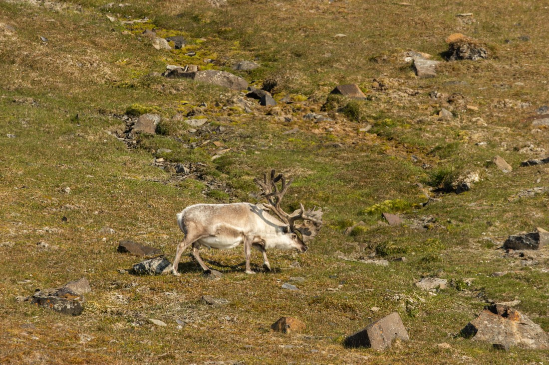 OTL08-24, Day 7,   2B5A2662 © Juan Martin Berenstein - Oceanwide Expeditions.jpg