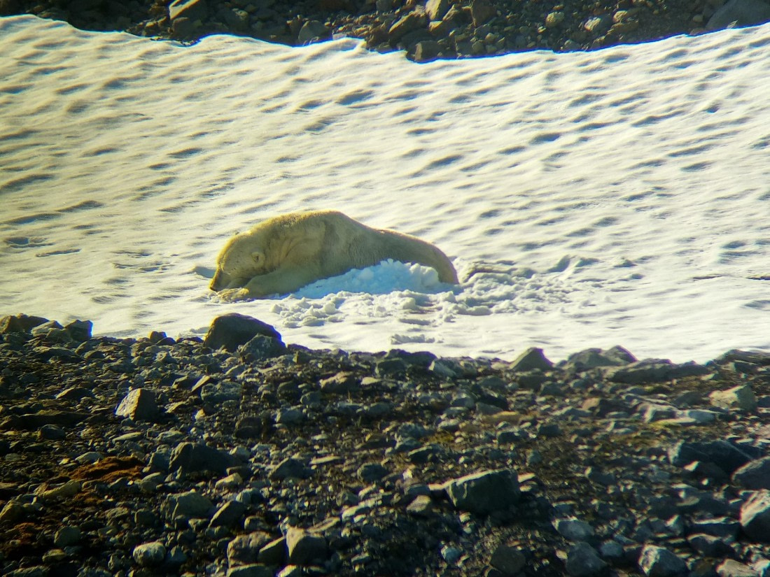 OTL08-24, Day 8, IMG_20240804_141236 © Unknown photographer - Oceanwide Expeditions.jpg