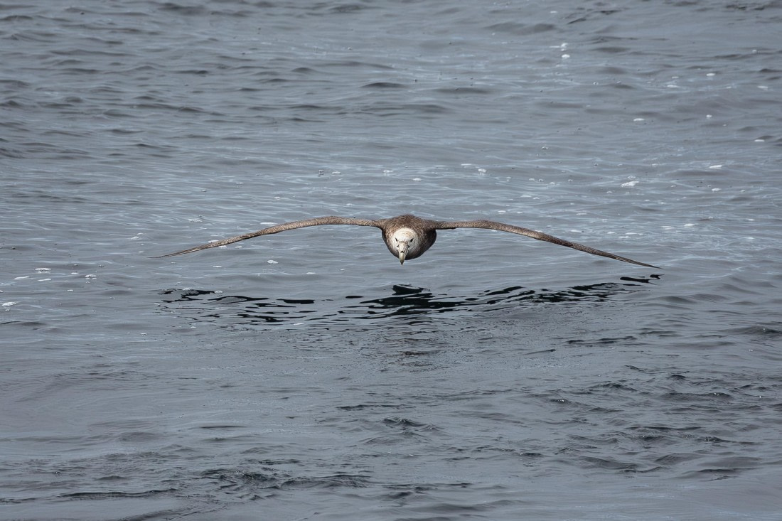 Skimming the Surface