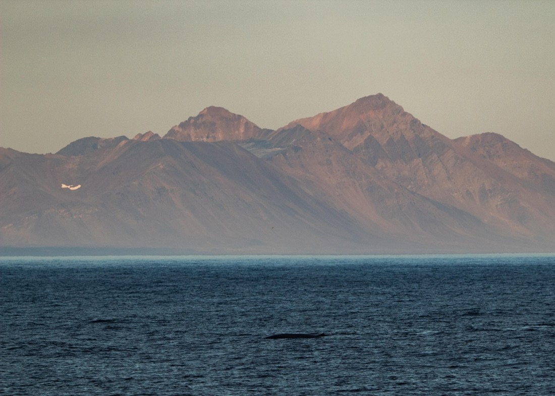 HDS10-24, Day 1, IMG_8102 © Koen Jongerling - Oceanwide Expeditions.jpg