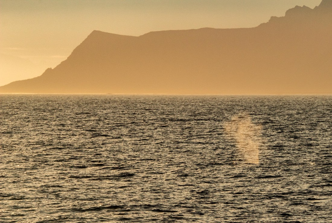 HDS10-24, Day 1, IMG_8108 © Koen Jongerling - Oceanwide Expeditions.jpg