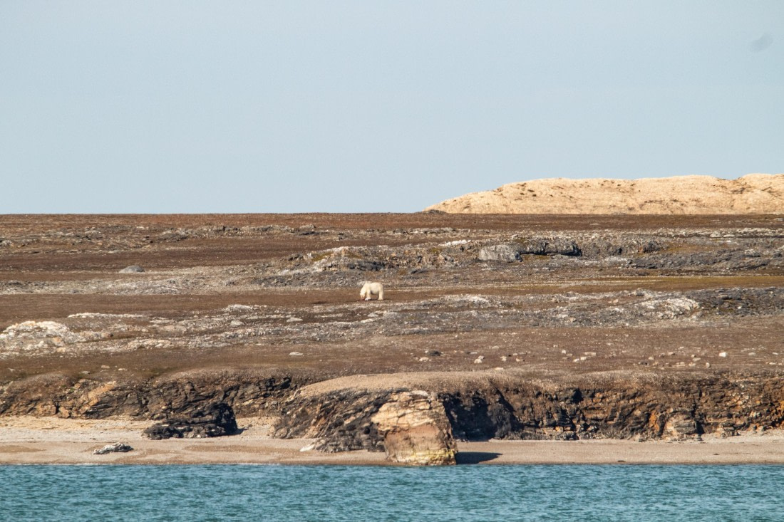 HDS10-24, Day 2, IMG_8122 © Koen Jongerling - Oceanwide Expeditions.jpg