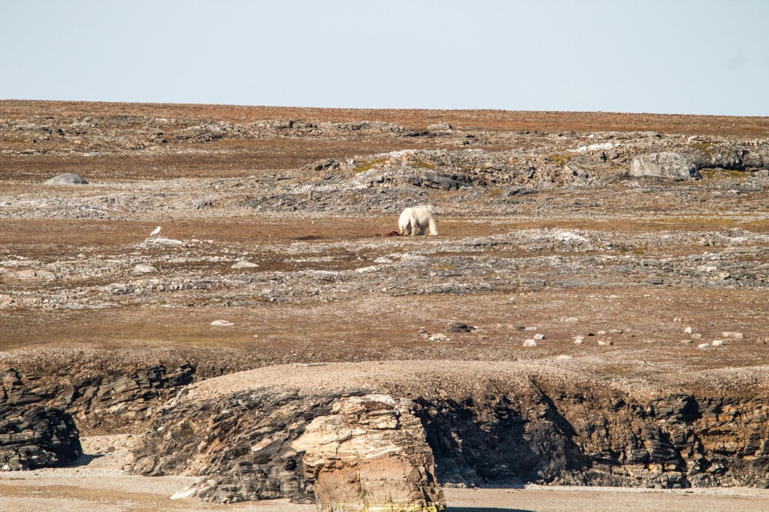HDS10-24, Day 2, IMG_8126 © Koen Jongerling - Oceanwide Expeditions.jpg