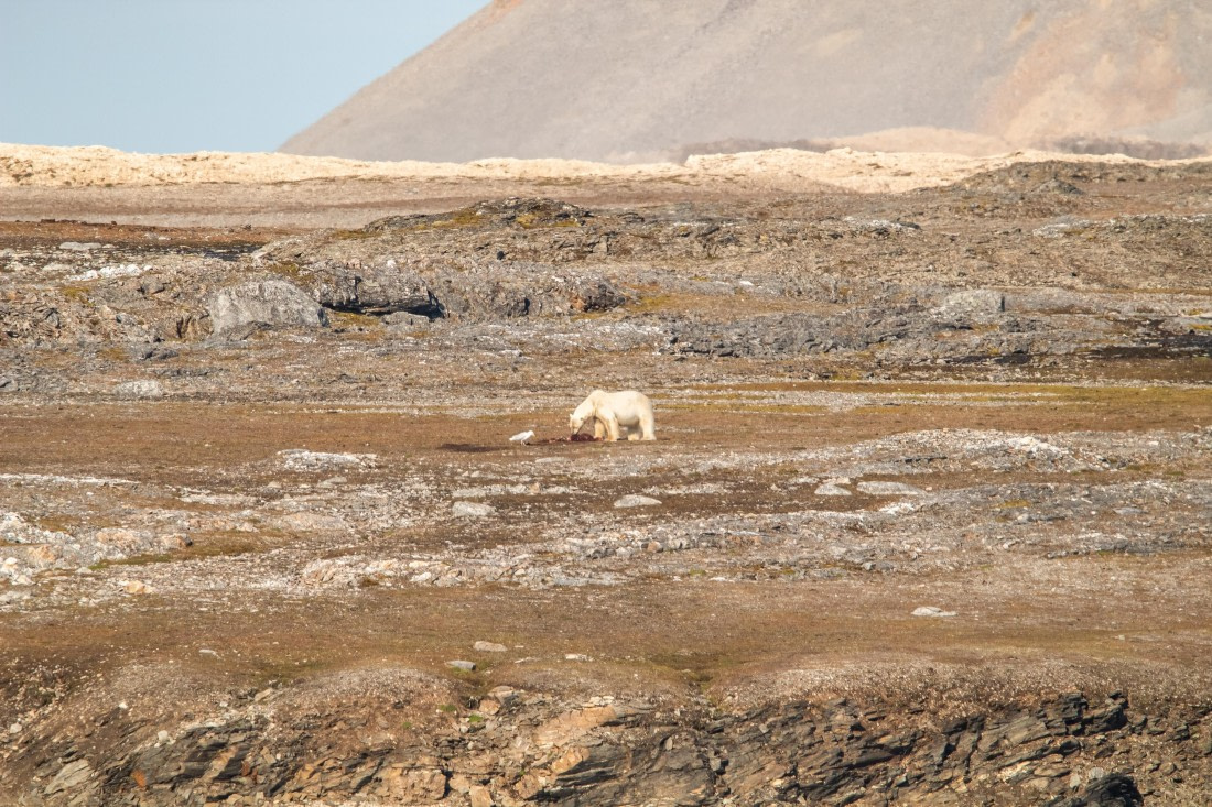 HDS10-24, Day 2, IMG_8129 © Koen Jongerling - Oceanwide Expeditions.jpg