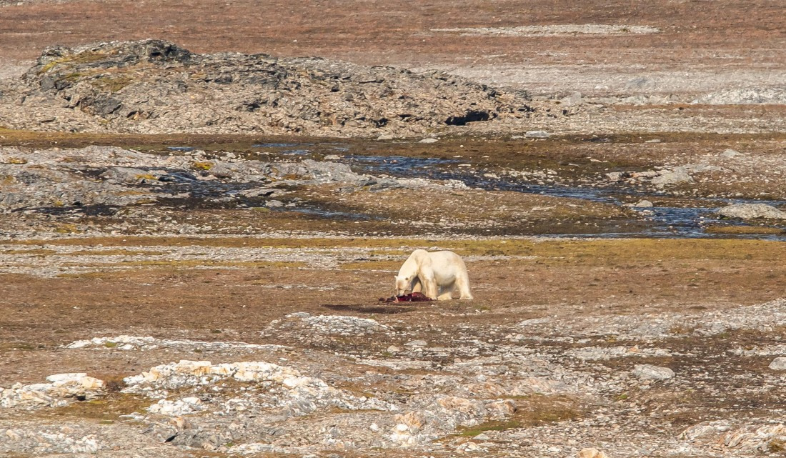 HDS10-24, Day 2, IMG_8132 © Koen Jongerling - Oceanwide Expeditions.jpg