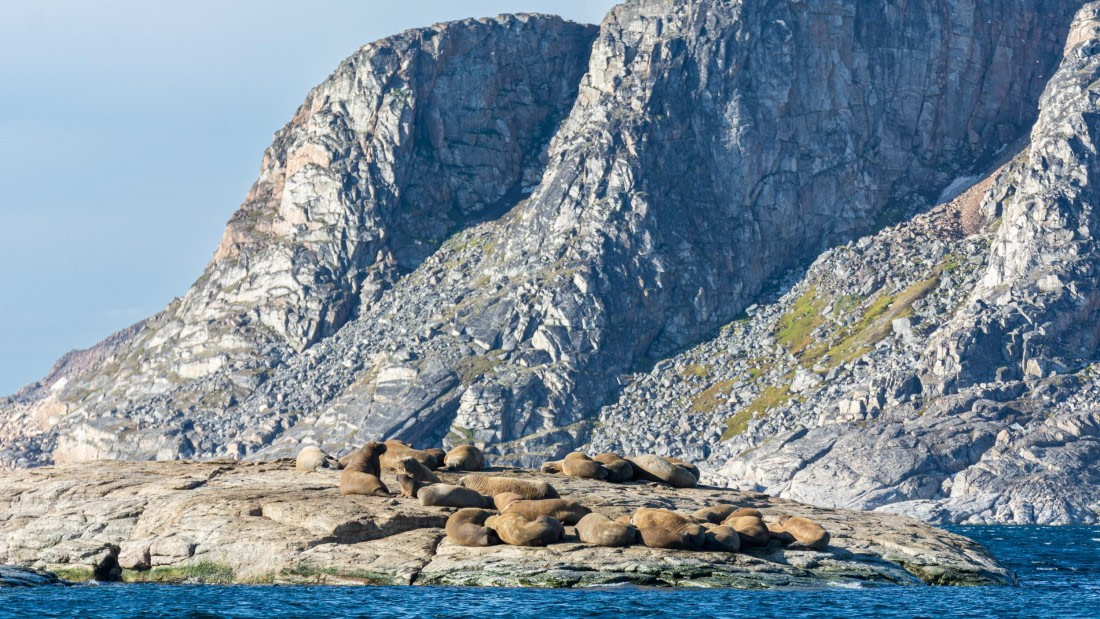 HDS10-24, Day 3, _DSC4621 © Koen Jongerling - Oceanwide Expeditions.jpg
