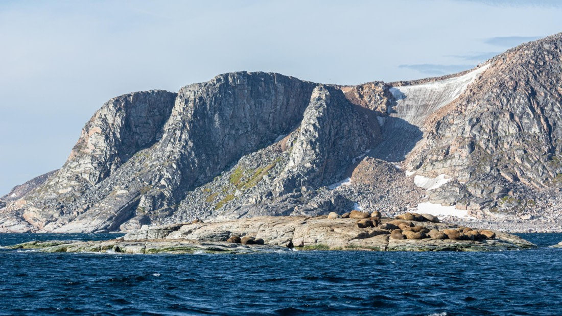 HDS10-24, Day 3, _DSC4622 © Koen Jongerling - Oceanwide Expeditions.jpg