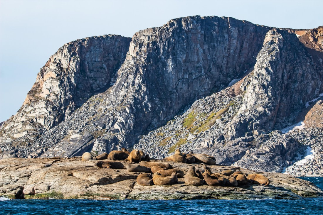 HDS10-24, Day 3, IMG_8218 © Koen Jongerling - Oceanwide Expeditions.jpg