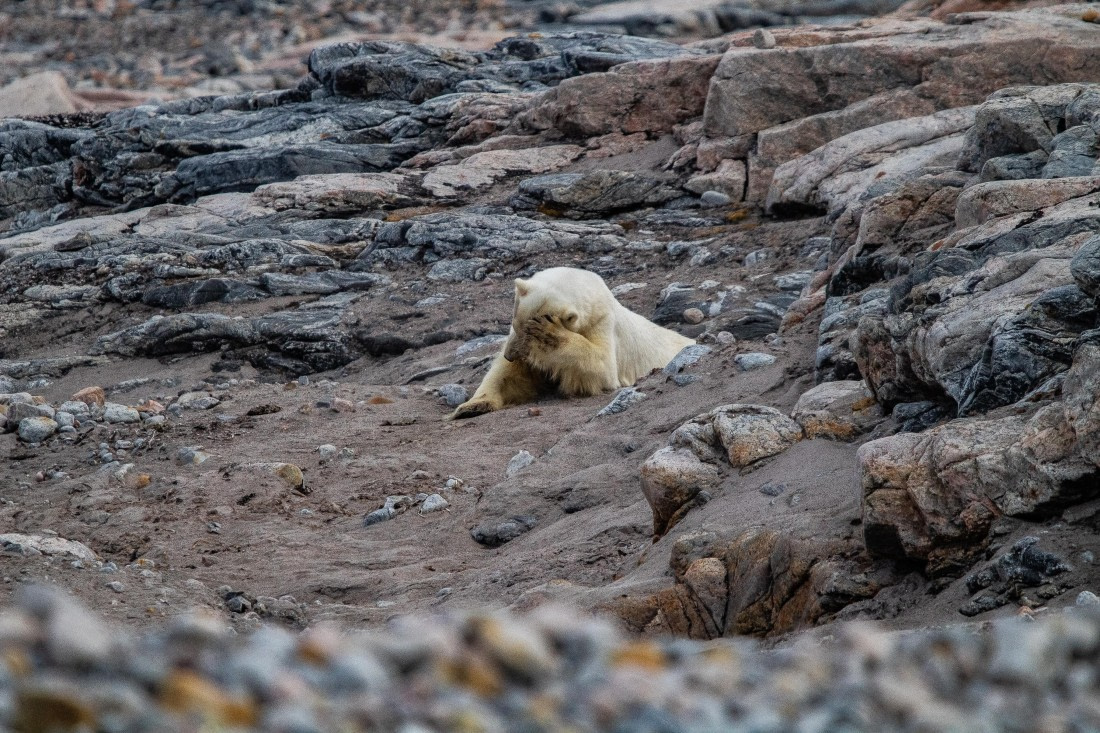 HDS10-24, Day 5, IMG_8470 © Koen Jongerling - Oceanwide Expeditions.jpg