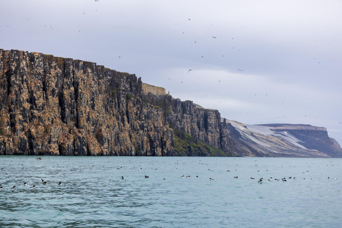 HDS10-24, Day 7, 177A9680 © Unknown photographer - Oceanwide Expeditions.jpg