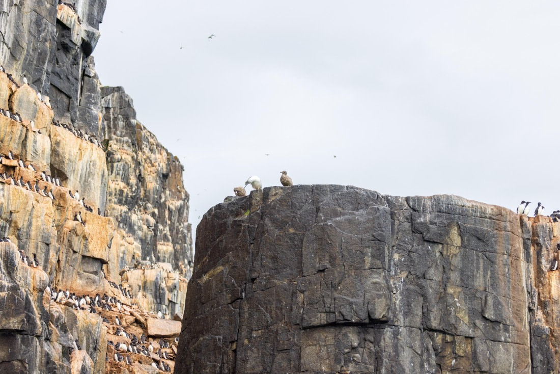 HDS10-24, Day 7, 177A9693 © Unknown photographer - Oceanwide Expeditions.jpg