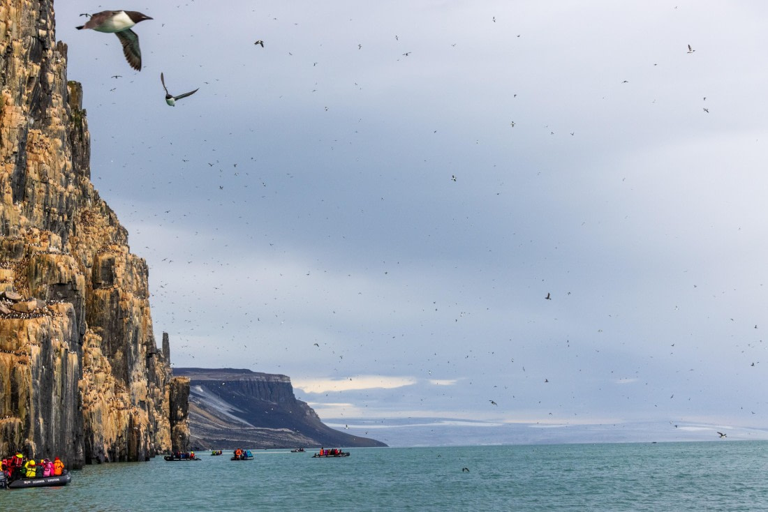 HDS10-24, Day 7, 177A9776 © Unknown photographer - Oceanwide Expeditions.jpg