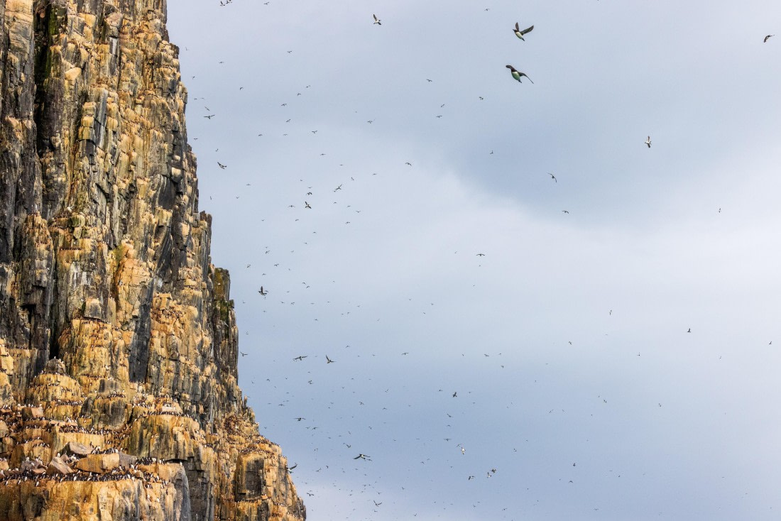 HDS10-24, Day 7, 177A9783 © Unknown photographer - Oceanwide Expeditions.jpg