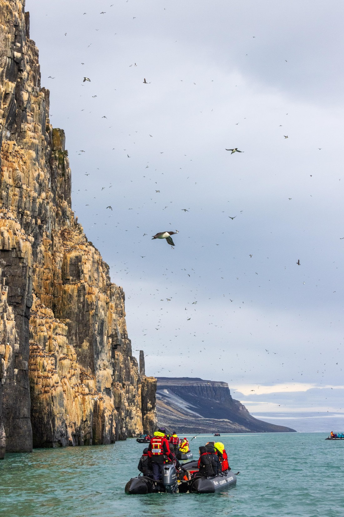 HDS10-24, Day 7, 177A9802 © Unknown photographer - Oceanwide Expeditions.jpg