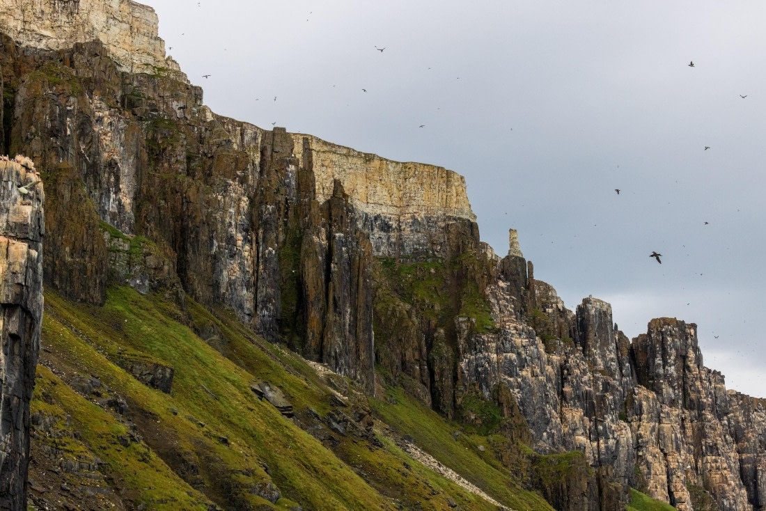 HDS10-24, Day 7, 177A9809 © Unknown photographer - Oceanwide Expeditions.jpg