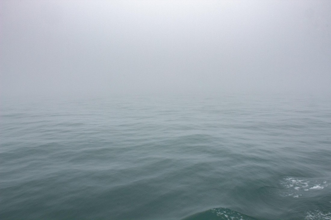 HDS10-24, Day 8, IMG_8645 © Unknown photographer - Oceanwide Expeditions.jpg