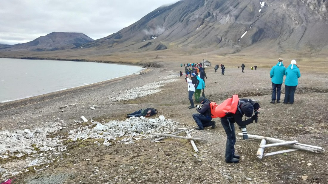 HDS10-24, Day 9, IMG20240816104946 © Unknown photographer - Oceanwide Expeditions.jpg