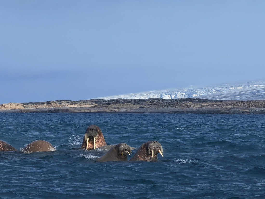 “Who are you？”