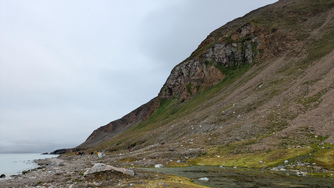 PLA10-24, Day 2, Bird cliff Sabrina Kerth © Sabrina Kerth - Oceanwide Expeditions.jpg