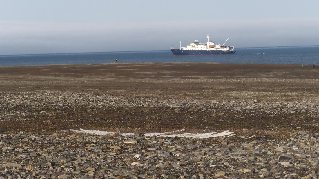 PLA10-24, Day 3, _8110097_Ursula Tscherter © Ursula Tscherter - Oceanwide Expeditions.JPG