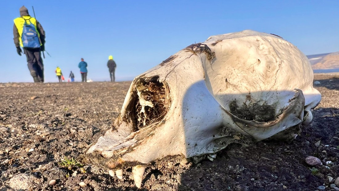 PLA10-24, Day 3, IMG_0537 © Unknown photographer - Oceanwide Expeditions.jpg