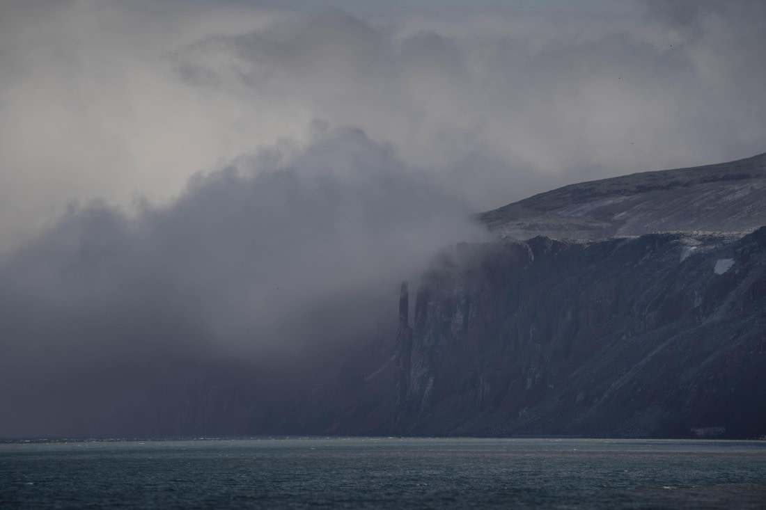 PLA10-24, Day 3, LD_08937_AINR_PS2 © Laurence Dyke - Oceanwide Expeditions.jpg