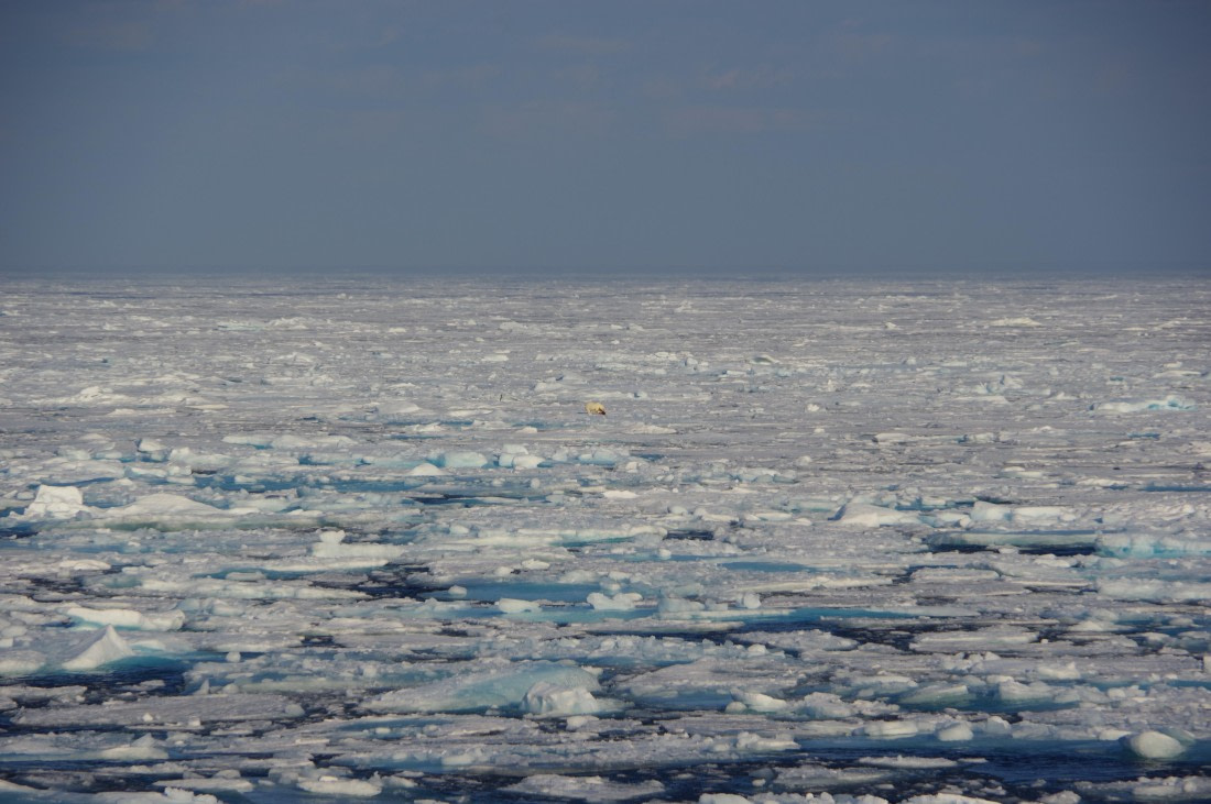 PLA10-24, Day 4, helene 12 aout (2) © Hélène de Méringo - Oceanwide Expeditions.JPG