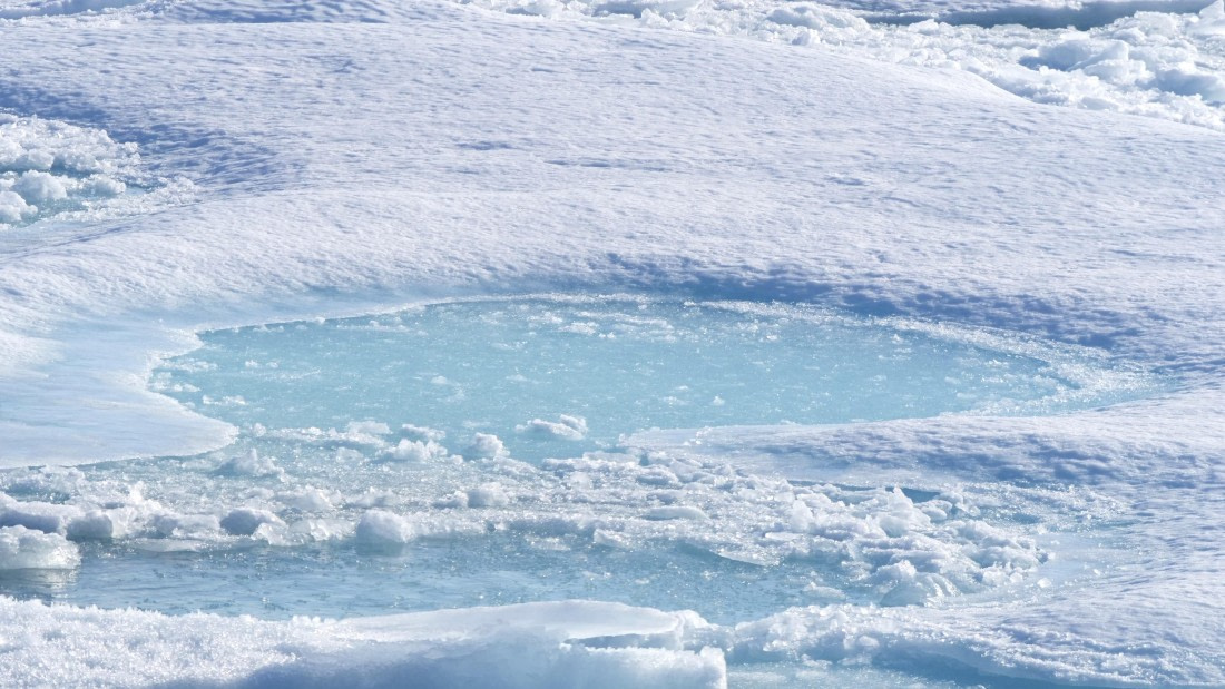 PLA10-24, Day 4, P1067062 © Unknown photographer - Oceanwide Expeditions.jpg