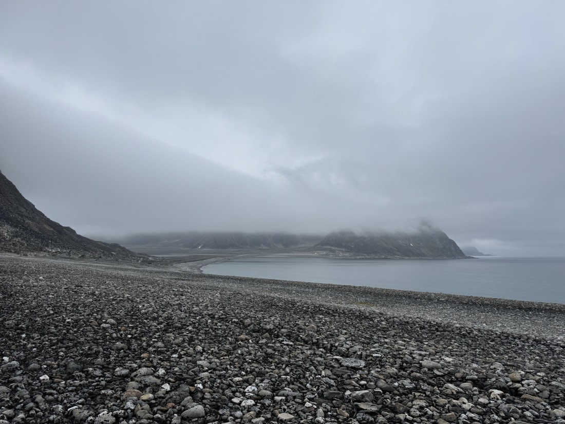 PLA10-24, Day 5, IMG_2046 © Unknown photographer - Oceanwide Expeditions.JPG