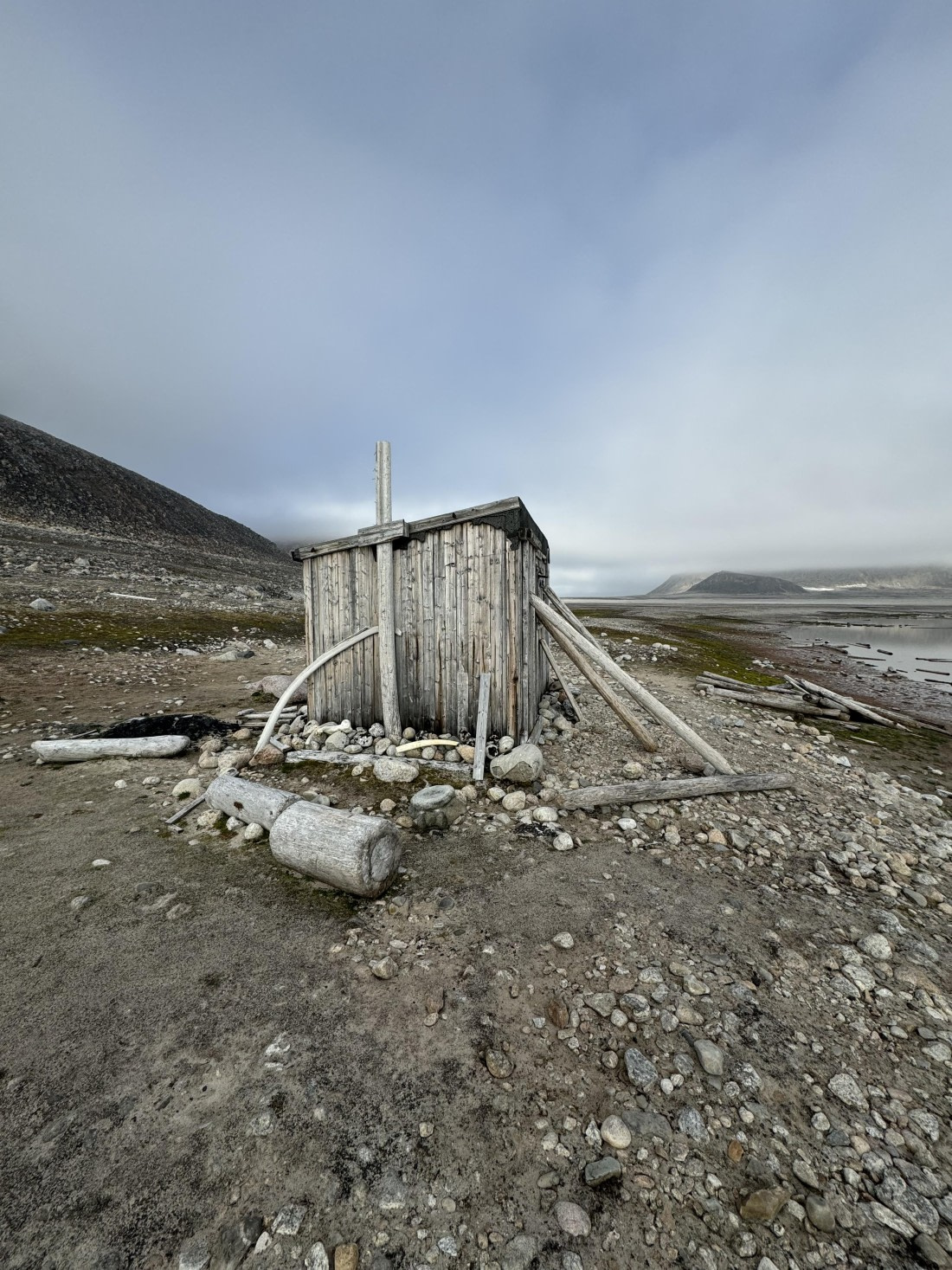 PLA10-24, Day 5, IMG_2059 © Unknown photographer - Oceanwide Expeditions.JPG