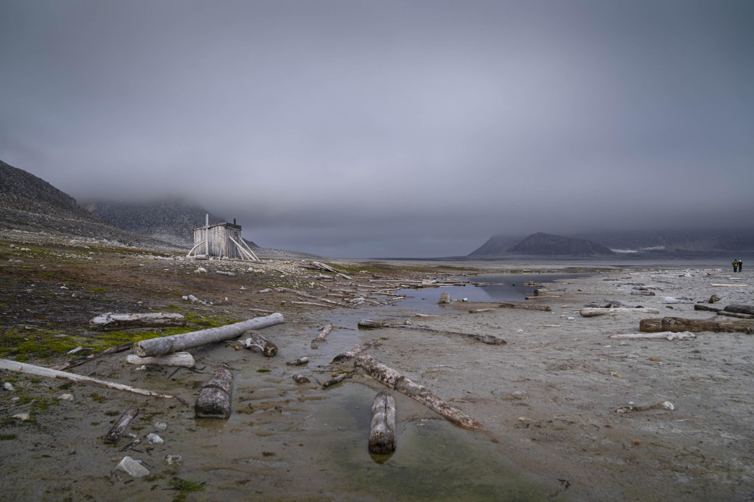 PLA10-24, Day 5, LD_00342_AINR_PS2 © Laurence Dyke - Oceanwide Expeditions.jpg