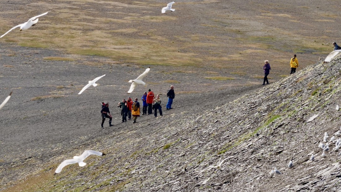 PLA10-24, Day 7, Tanja5 © Tanja Bayer - Oceanwide Expeditions.jpg