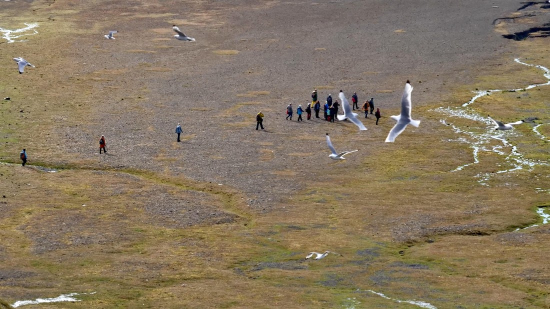 PLA10-24, Day 7, Tanja6 © Tanja Bayer - Oceanwide Expeditions.jpg