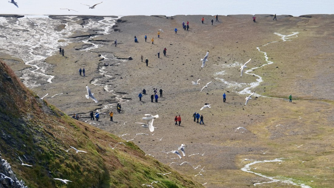 PLA10-24, Day 7, Tanja7 © Tanja Bayer - Oceanwide Expeditions.jpg
