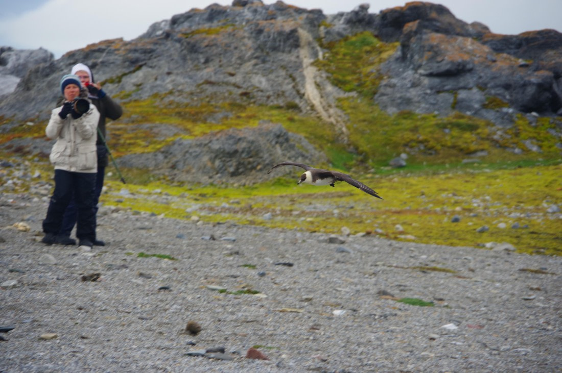 PLA10-24, Day 8, IMGP0492 © Unknown photographer - Oceanwide Expeditions.JPG